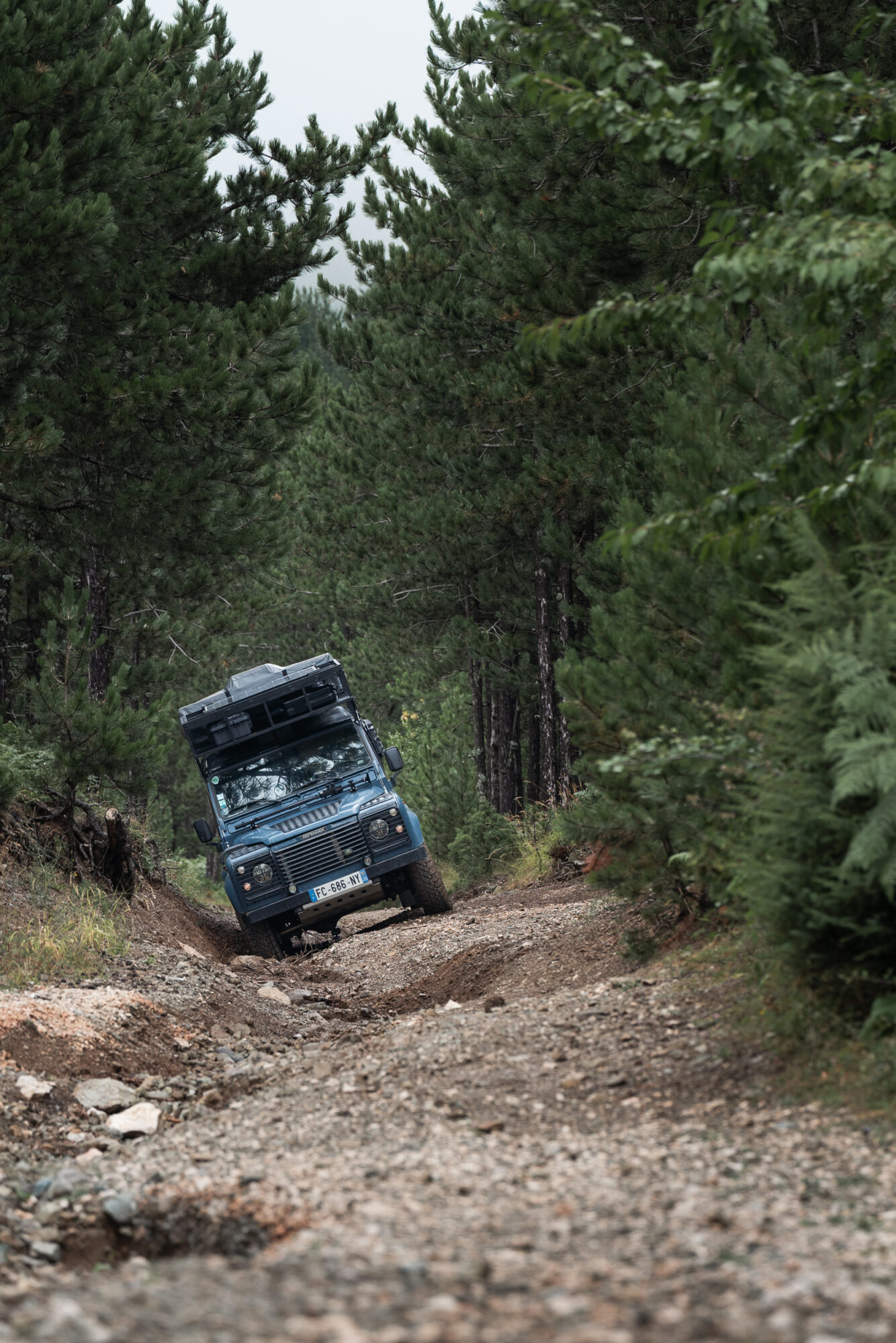 Le 4x4 dans la fôret a propos de mon voyage