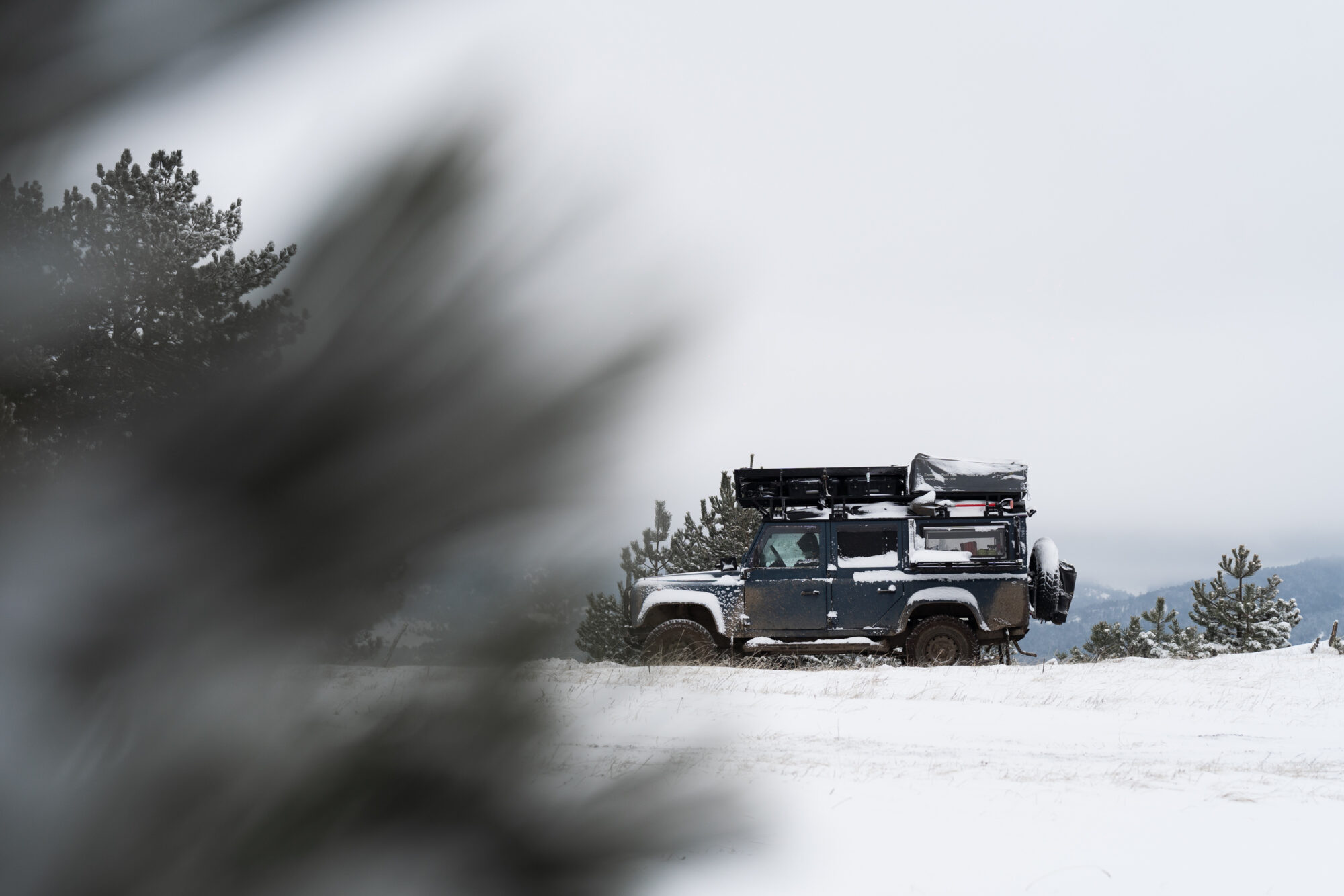 photo couleur de Christopher le Defender sous la neige